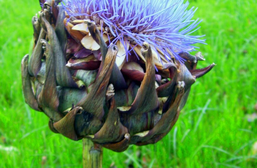 City Magazin und Carla Kolumna entfallen, Fr, 10.4.2015