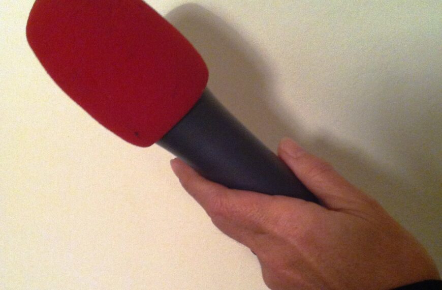 Das rote Mikro, Sa, 27.6., 13h