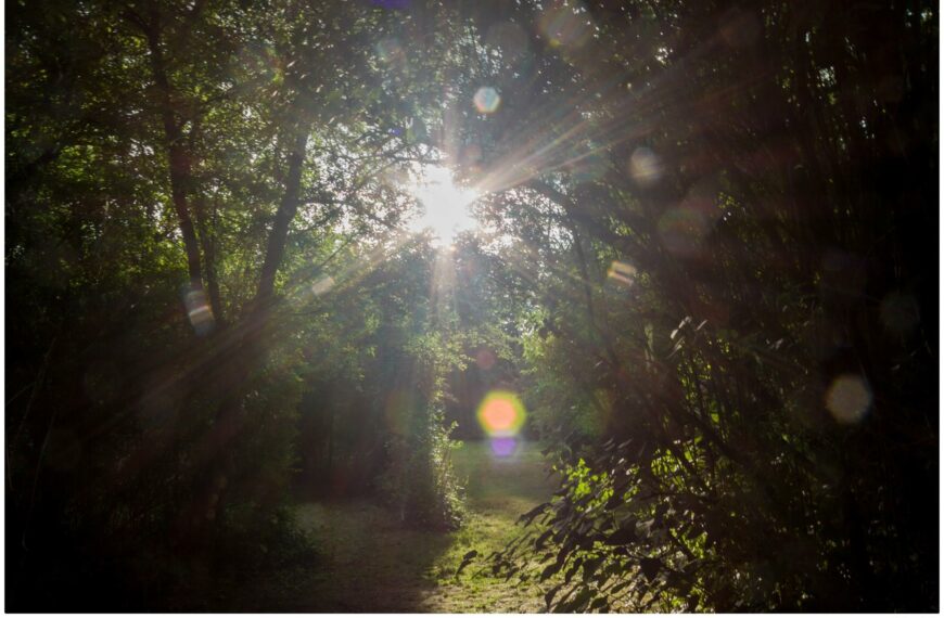 "Vom Schatten zur Sonne", Do, 18.10., 16 h