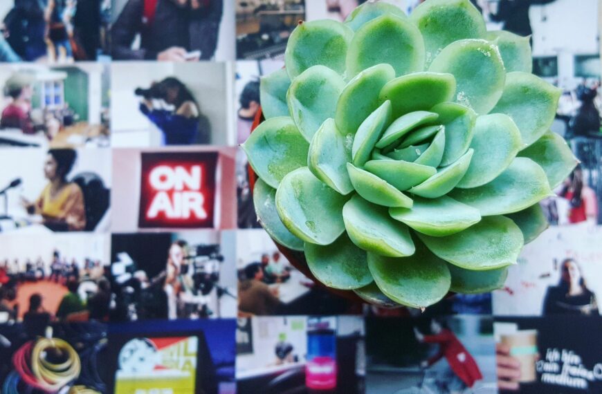 Ideen sind Gedanken der Schöpfung – wir alle haben sie, Mo. 27.4., 12-13:30