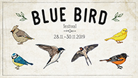 Blue Bird Festival, Di., 03.12., 17-18 Uhr