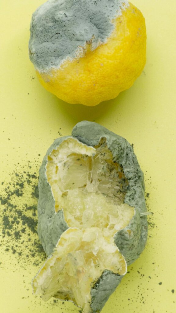 FOOD FOR WASTE, Mo, 15.2.2021, 18 h