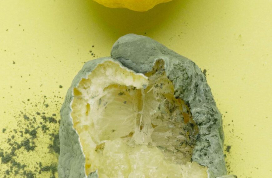 FOOD FOR WASTE, Mo, 15.2.2021, 18 h
