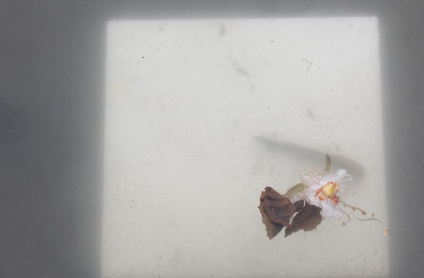 Egon Schiele – Eine Annäherung