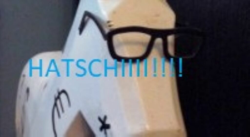 City Magazin und Carla Kolumna