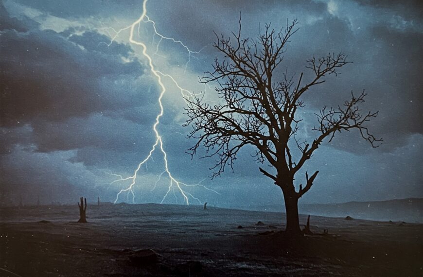 ANALOG IST BESSER: Paradise Lost – TOP 10, Fr. 07.03.,19-20h