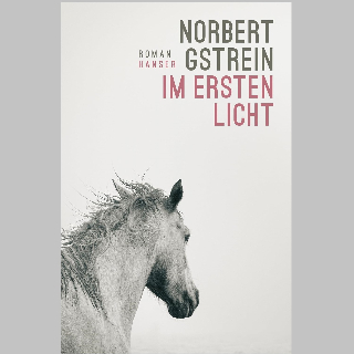 BOOK SHOT am Donnerstag, 30. Juli um 10 Uhr: „Im ersten Licht“ von Norbert Gstrein